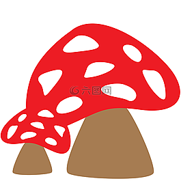 真菌,蘑菇,木耳