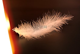 春天,略,招標(biāo)
