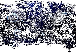 手繪,海洋,石頭