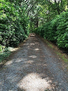 路,隧道,路徑