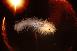 春天,略,schwerlos