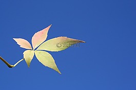 自然,戶外,天空
