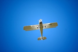 飛機(jī),飛行,飛