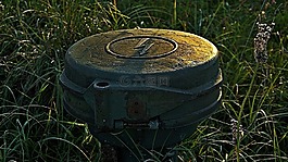 生態(tài),大自然保護(hù)協(xié)會(huì),性質(zhì)