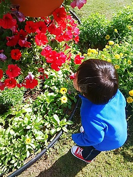 鮮花,男孩,公園