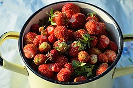 草莓,莓果,夏季