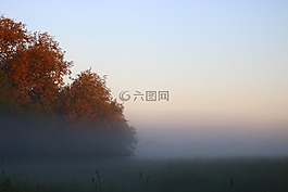 morgenstimmung,霧,日出