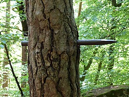 日志,釘,藝術