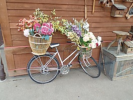 自行車,鮮花,籃