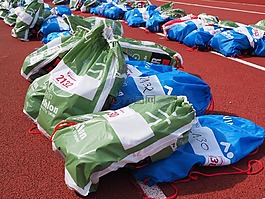 行李袋,運輸袋,袋