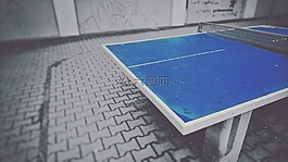乒乓球,乒乓球臺,體育