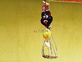 魅力,娃娃,面具