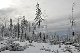 冬季,雪,山