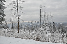 冬季,雪,山