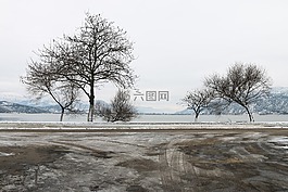 雪,景觀,性質(zhì)