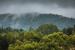 霧,段,雨