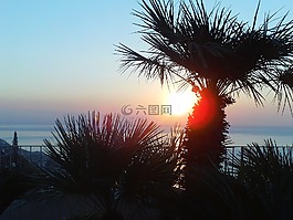 假期,日落,海