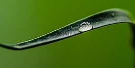 水,下降,草