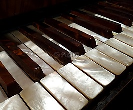 鋼琴,鍵盤,老