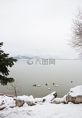 雪,景觀,性質(zhì)