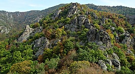 奧地利,性質(zhì),景觀