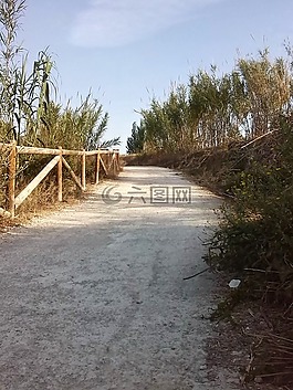 橋,創(chuàng)業(yè)精神,首頁