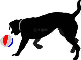 球,大通,追逐
