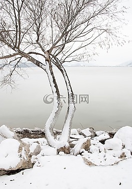 雪,景觀,性質(zhì)