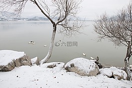 雪,景觀,性質(zhì)