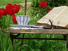 郁金香,本書,眼鏡