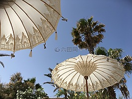 夏天,方,太陽