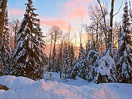冬天,日出,雪