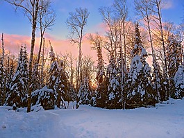 日出,荒野,雪