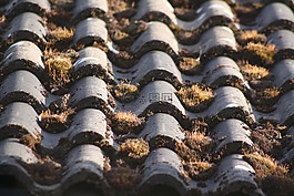 瓦,屋頂,屋面