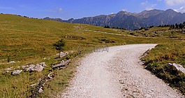 徑,路,山