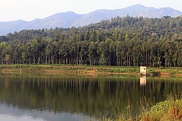 風景,反思,水
