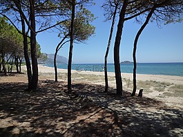 海,海滩,地中海