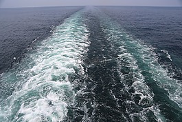 水,冲浪,海