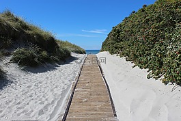 海灘,沙,海洋