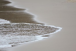 海灘,水,沙