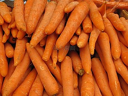 根,食品,蔬菜