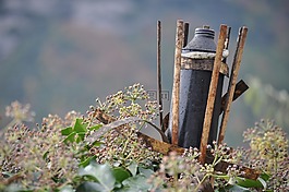 仿古,性質(zhì),火炬