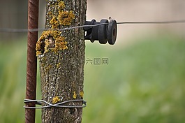 電源線,仿古,性質(zhì)