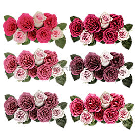 玫瑰,鮮花,玫瑰花