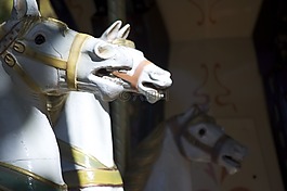 cavallitos,馬德,老