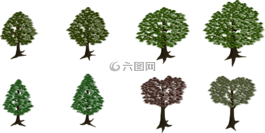 樹,森林,自然
