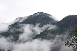 山,加拿大,霧