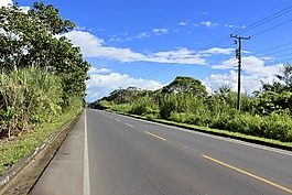 路,雨林,熱帶