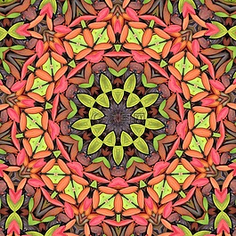 曼陀羅,萬花筒,種子