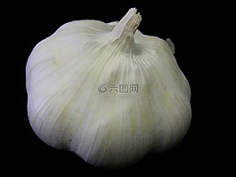 大蒜,植物,燈泡